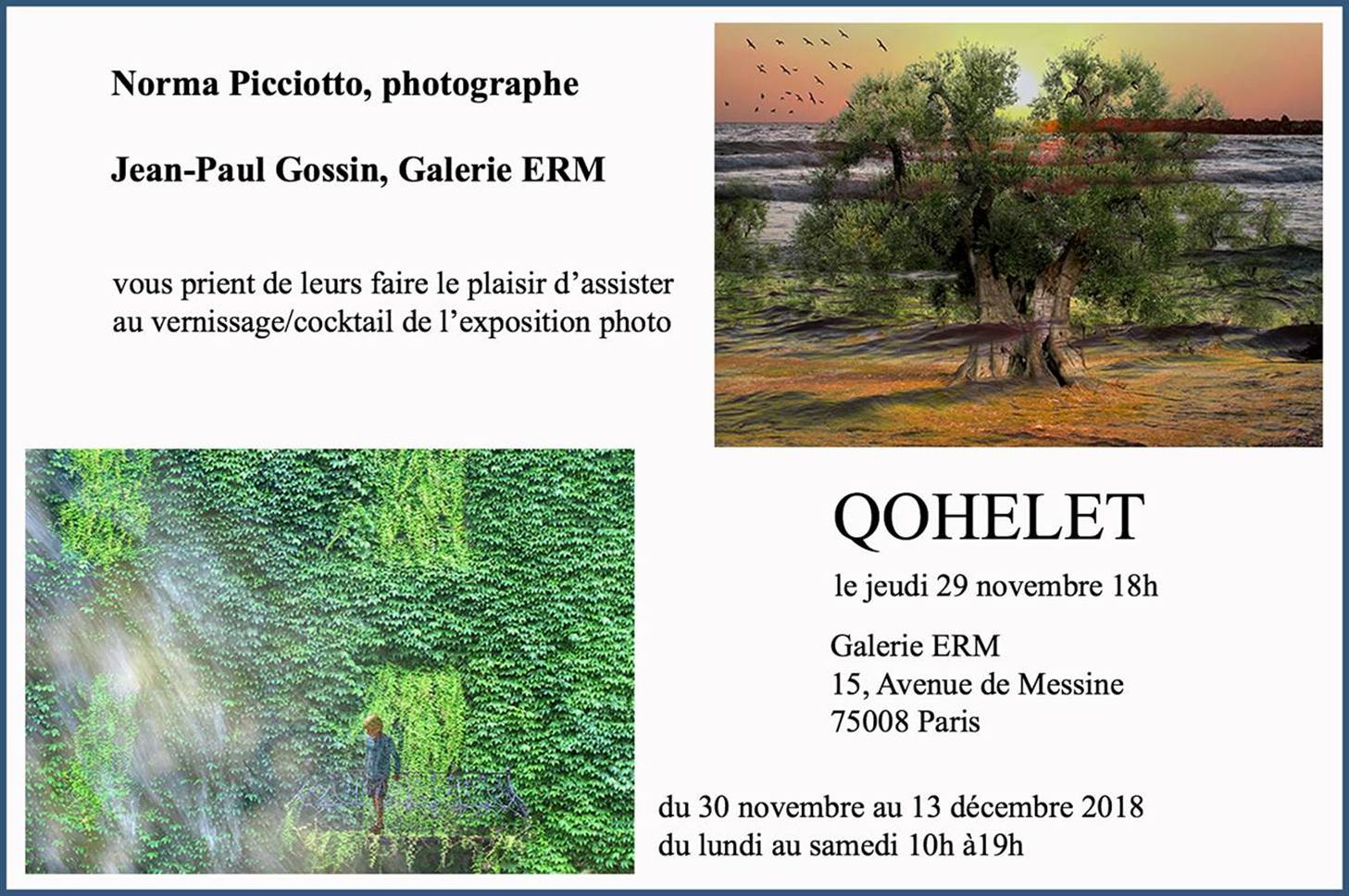 O ILLUSTRE LE DERNIER POEME DU ROI SALOMON, QOHELET