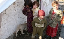 avortements payants et enfants qui meurent de faim