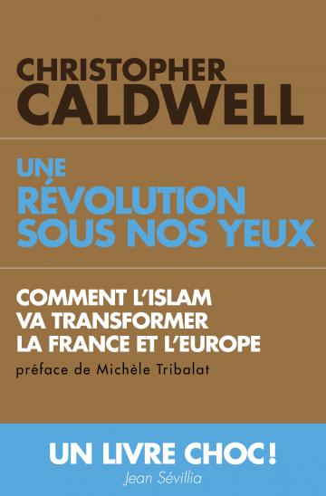 Une révolution sous nos yeux ou comment l'islam va transformer la France et l'Europe