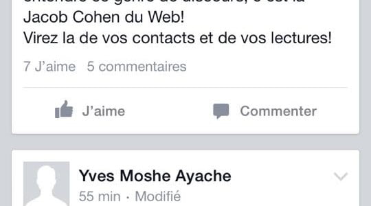 Yves Moche Ayache Le groupe qui voit les nazis chez les sionistes