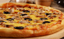 Nice guy en Israel dans les pizzas