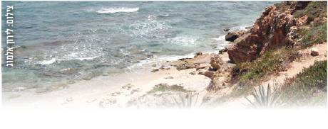 Victoire des Verts: La plage de Palmachim sera reconnue parc national; Littoral