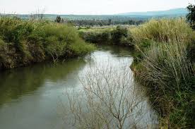 Israéliens, jordaniens et palestiniens unis pour sauver le Jourdain, le Jourdain