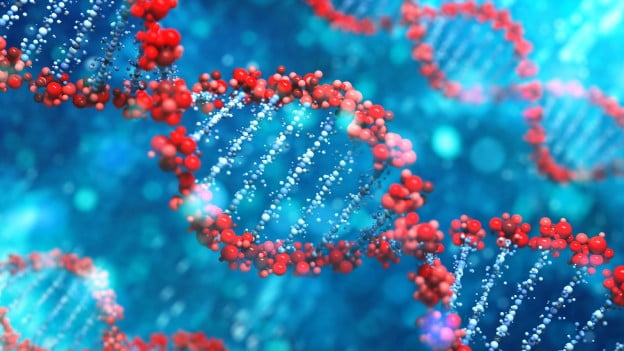 Révolution dans la santé : un nouveau système diagnostiquera les maladies mortelles que nous pourrions contracter génome ADN