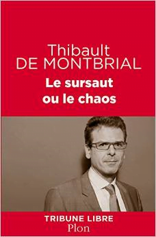 montbrial thibault après les attentats de janvier 15 que reste t il de l'économie en france