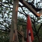 neo nazi birmimgam