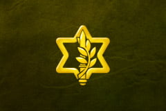 La réforme du service militaire israélien se profile