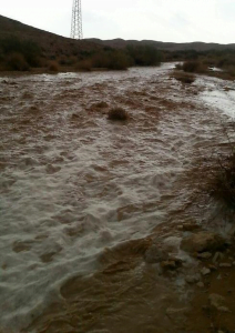 rivière en crue