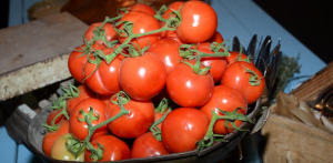 tomates