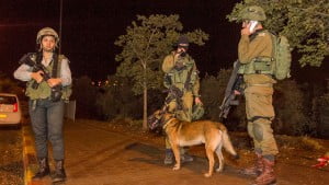 Israël : 3 attaques au couteau 