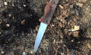Israël : Une terroriste de 15 ans stoppée par l’armée en Judée-Samarie