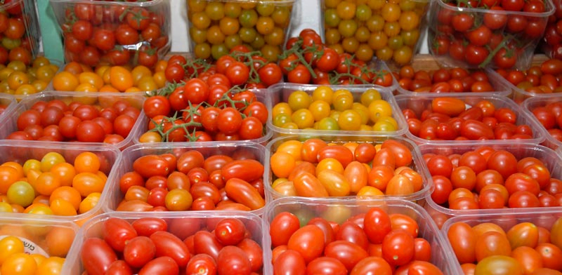 La pénurie de tomates continuera jusqu’en décembre