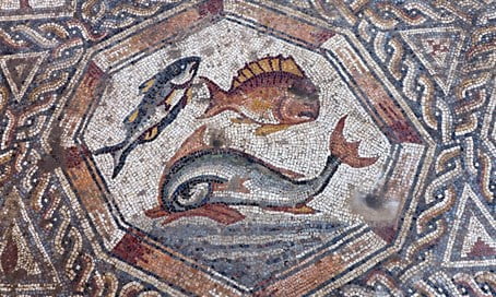 Magnifique mosaïque découverte à Lod