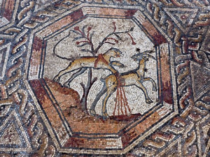 Magnifique mosaïque découverte à Lod