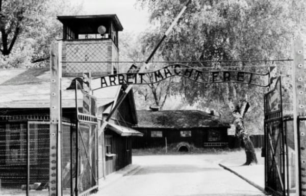 Des élèves surpris en flagrant délit de vol à Auschwitz-Birkenau encourent 10 années d’emprisonnement