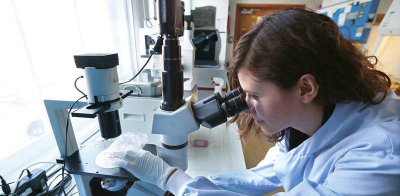 Une start-up israélienne en phase de mettre fin aux injections d’insuline