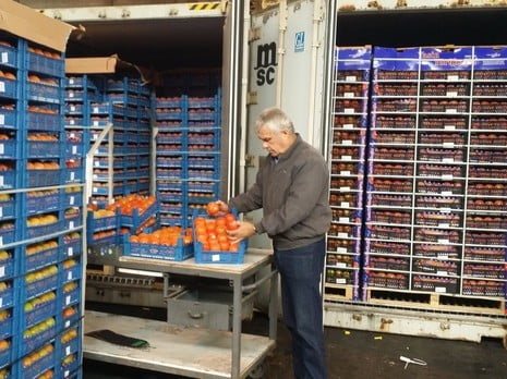 Crise de la tomate: des containers immobilisés à Haïfa