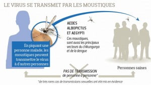 Le virus Zika détecté en Israël