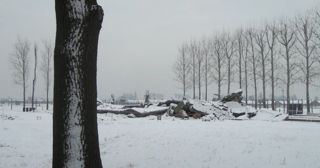 Emplacement du Crématorium III, à l’arrière du camp de Birkenau.