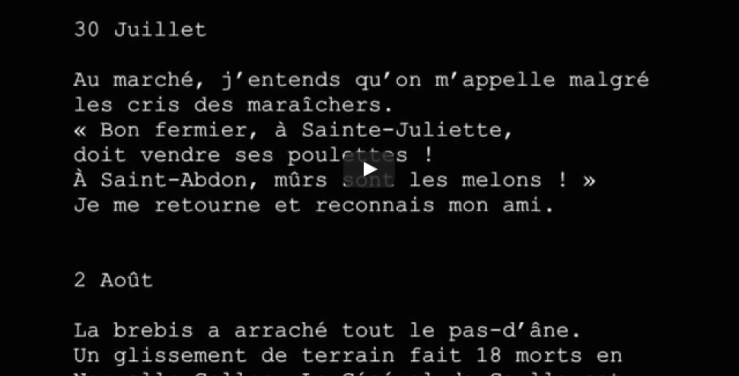 Journal Extime, 2015, vidéo réalisée dans le cadre de « J’ai mal ! J’ai peur ! » organisé par la galerie Vivoequidem, Paris, février 2016.