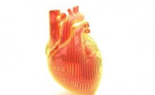 Un cœur bionique : quand la science-fiction devient réalité