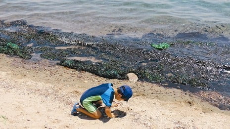 Les raffineries Paz condamnées à une amende record pour pollution de la mer