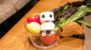 Phresh conserve vos fruits et légumes frais plus longtemps, économies assurées !