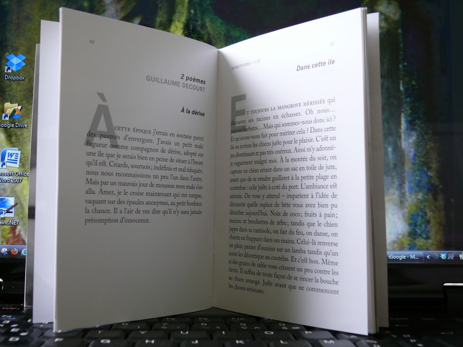 De la foirade à la parade : Guillaume Decourt