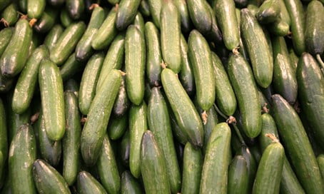 Les agriculteurs israéliens détruisent leur stock pour que les prix augmentent