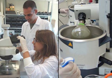 Une bio imprimante 3D pour cellules souches développée par deux sociétés israéliennes