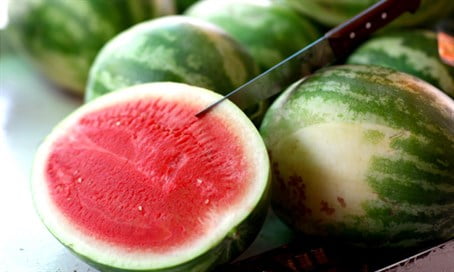 Gaza importe des pastèques d'Israël