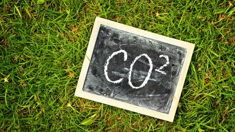 Le CO2 nouvel outil pour produire du sucre essentiel à la vie
