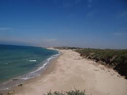 Les députés israéliens vendent les plages aux promoteurs immobiliers
