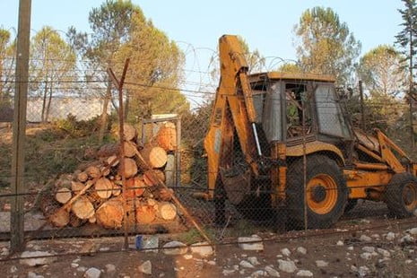 Des milliers d’arbres coupés dans une forêt de Goush Estion