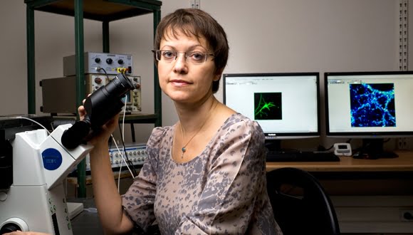 Une israélienne remporte un prestigieux prix pour ses recherches sur la maladie d’Alzheimer