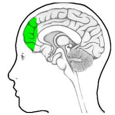 Israël: Le cortex préfrontal joue un rôle dans la marche des parkinsoniens