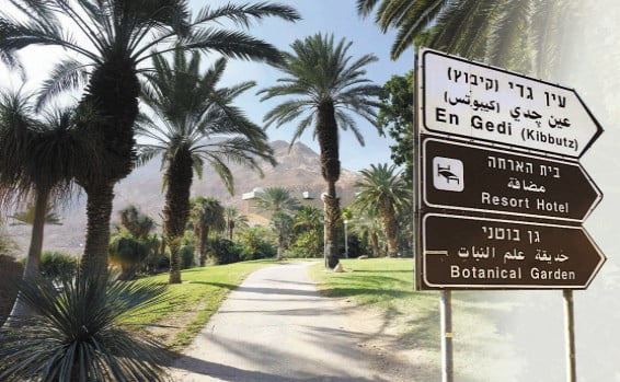 Le Kibboutz Ein Gedi en pleine tempête