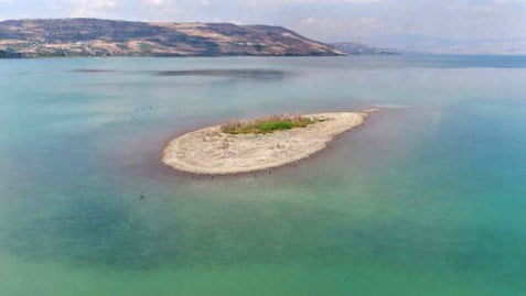 En raison de la sécheresse, une ile apparait sur le lac de Tibériade