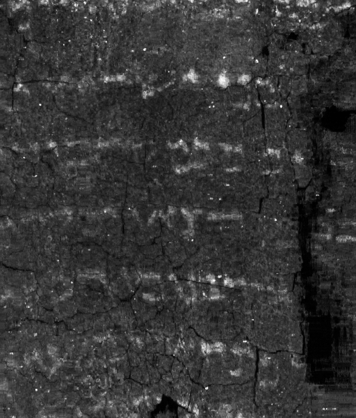 Un manuscrit de la Mer Mort de 1500 ans déroulé virtuellement 