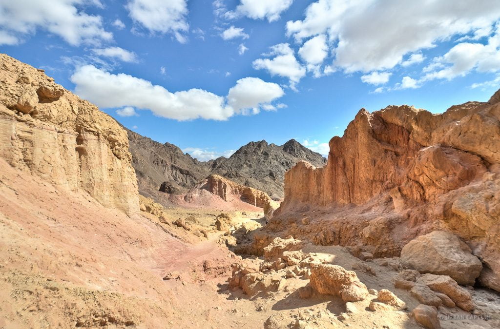 Desert Safari - Amram's Pillars