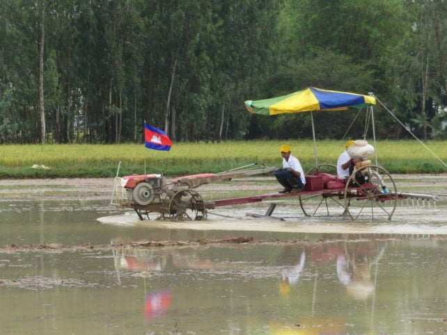 de subsistance du riz amène souvent les agriculteurs à passer de longues heures  les pieds dans l’eau et dans la boue, ce qui les expose à des parasites.  Ce dispositif aide à pallier la situation. (U.S. Patent and Trademark Office) 