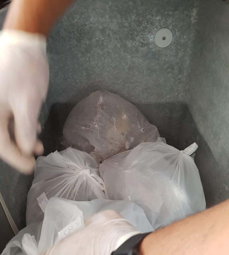 Les 44 perdrix découvertes dans  son congélateur 