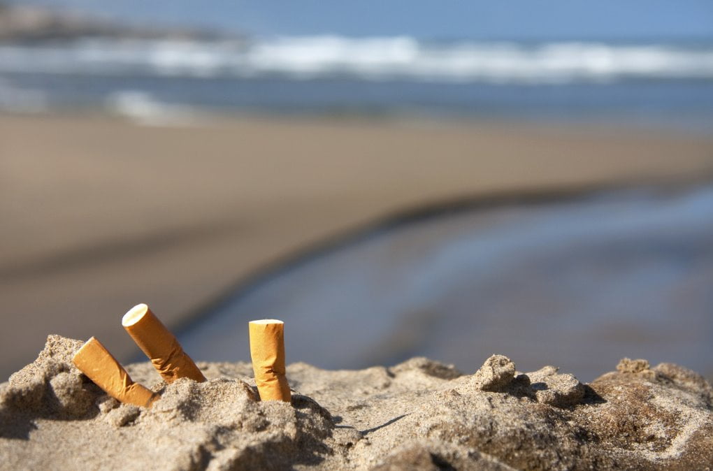 Vous voulez une granité  gratuite? Ramassez les mégots de cigarettes sur la plage de Bat Yam