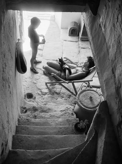 La Provence de Willy Ronis