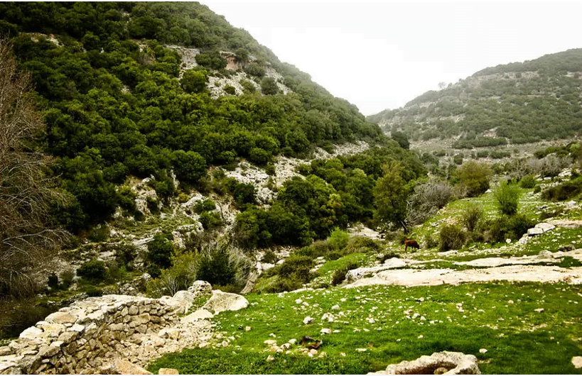 Israël: Tel Rosh et la liste des répartitions des terres entre les tribus par Josué dans la Bible