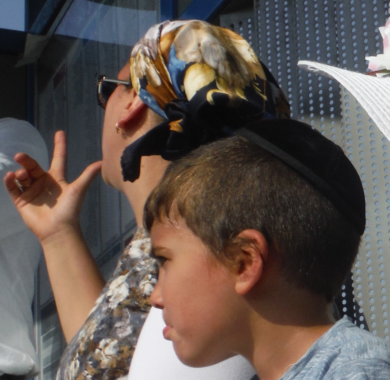 copyright David Mallis