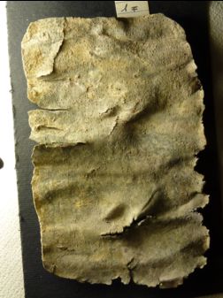 En Israël, le mystère d'une malédiction vieille de 1500 ans enfin résolu
