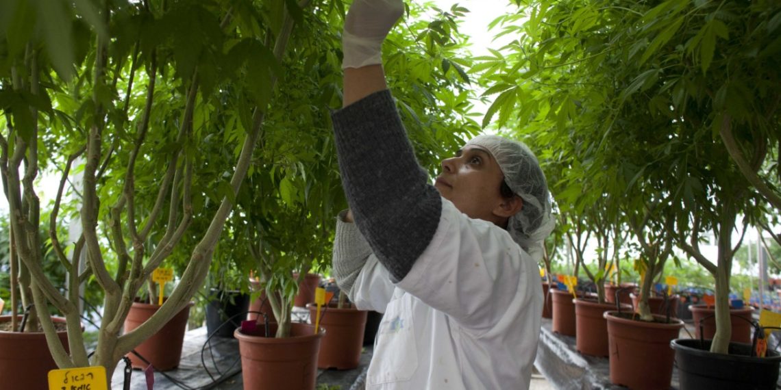 israel une puissance agriculture