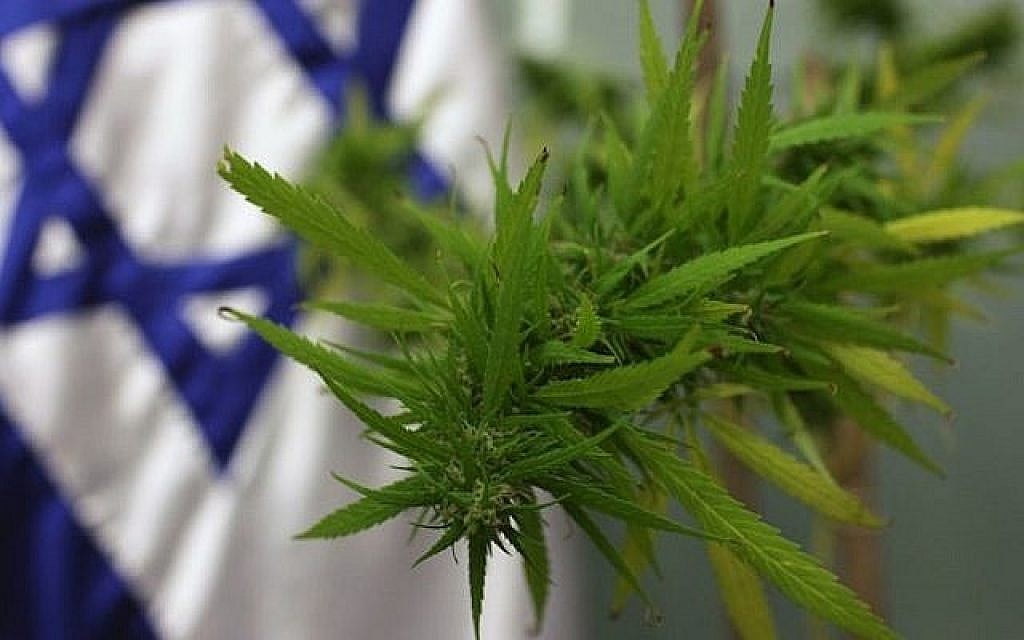 Culture illégale de cannabis en Israël