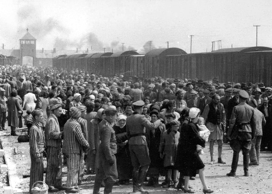 Mai-septembre 1945 - Les survivants dénoncent leur abandon